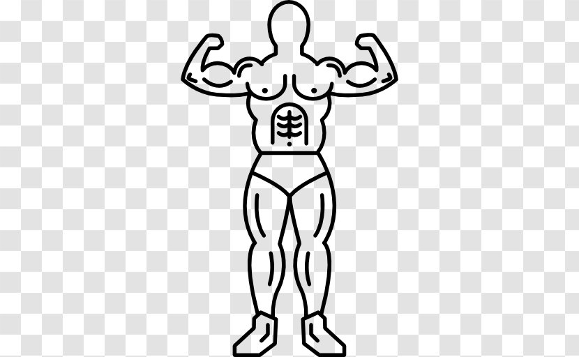 Muscle Muscular System Thumb - Silhouette - Line Transparent PNG