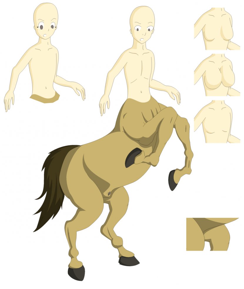 Mustang Pony Drawing Pack Animal Centaur - Heart Transparent PNG