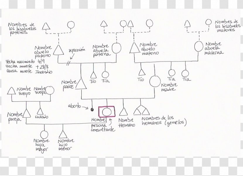 Family Tree Genealogy Genogram Constellations - Area Transparent PNG