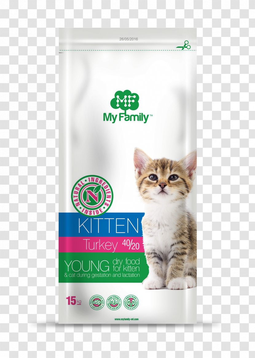 Kitten Whiskers Product - Cat Transparent PNG