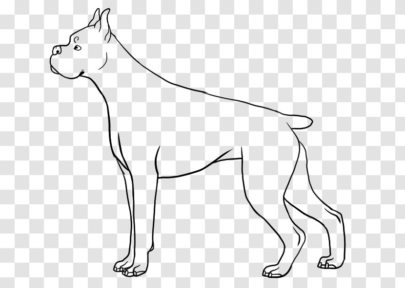 Boxer Line Art Animal Drawing - Dog Breed Transparent PNG