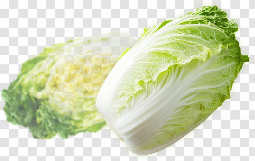 Romaine Lettuce Napa Cabbage Cruciferous Vegetables Savoy Asazuke - Chinese Transparent PNG