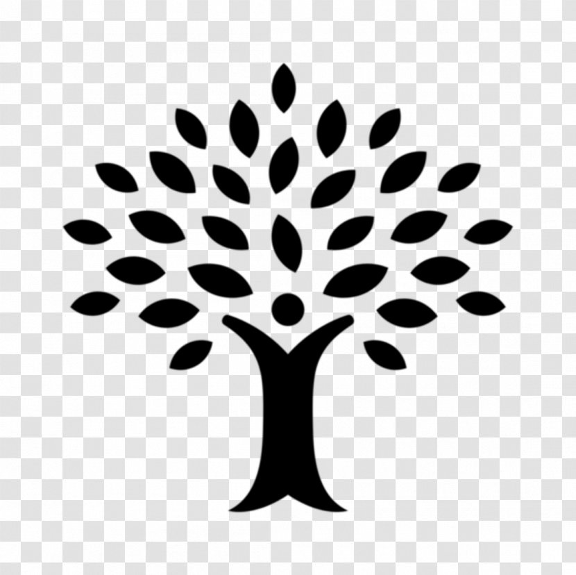 Tree Leaf Black-and-white Woody Plant Branch - Line Art Transparent PNG