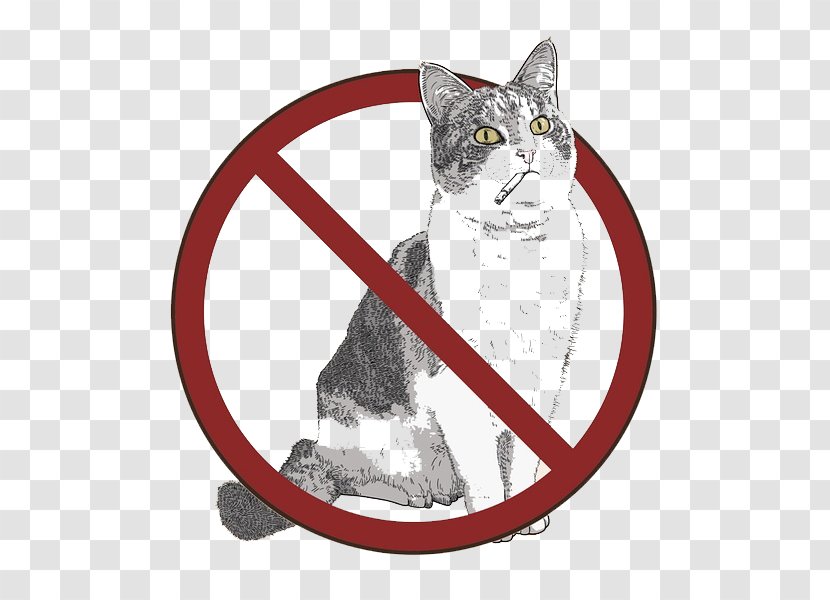 T-shirt Sticker Hoodie Hard Hat Decal - Cat Like Mammal - Forbidden Cats Transparent PNG