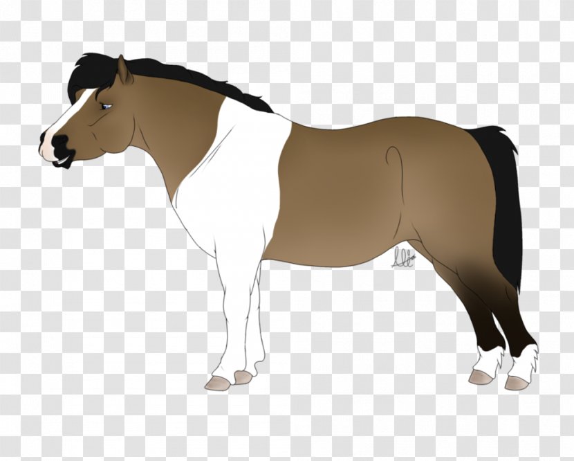 Mane Mustang Stallion Mare Rein - Horse Tack Transparent PNG