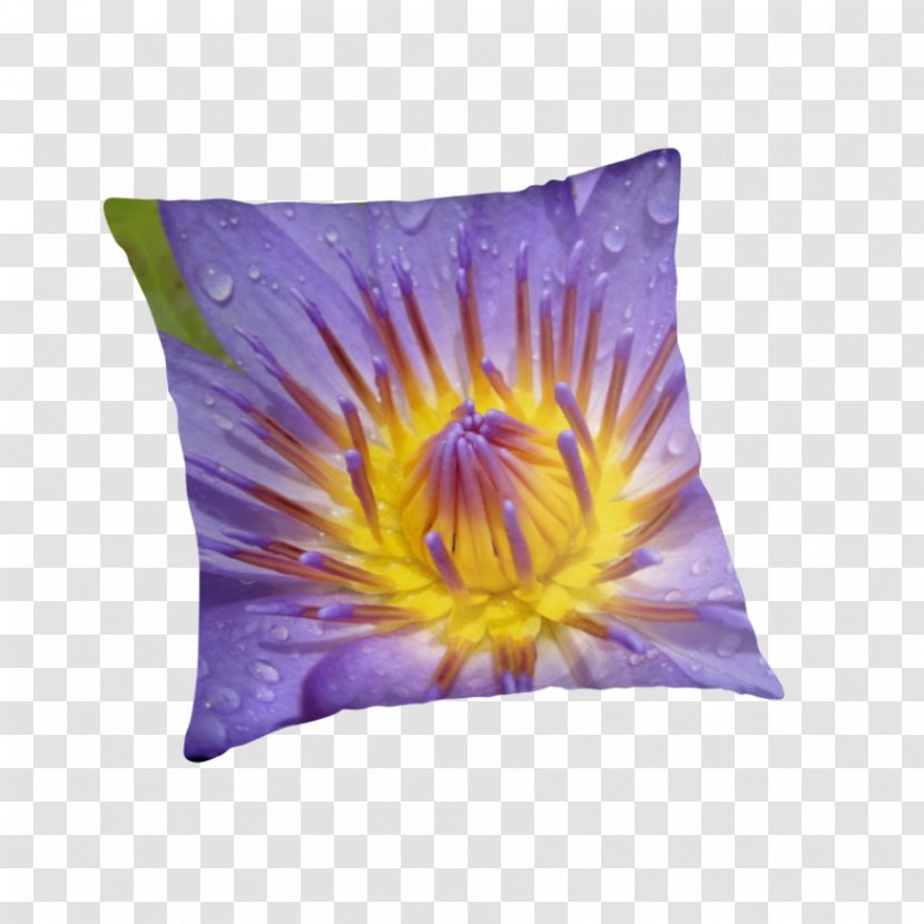 Cushion Throw Pillows Violet Dye - Pillow - Water Droplets Thrown Poster Material Transparent PNG