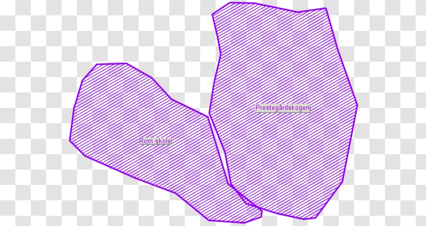 Product Design Line Angle - Violet - Polygon Map Transparent PNG