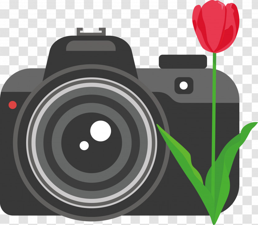 Camera Flower Transparent PNG