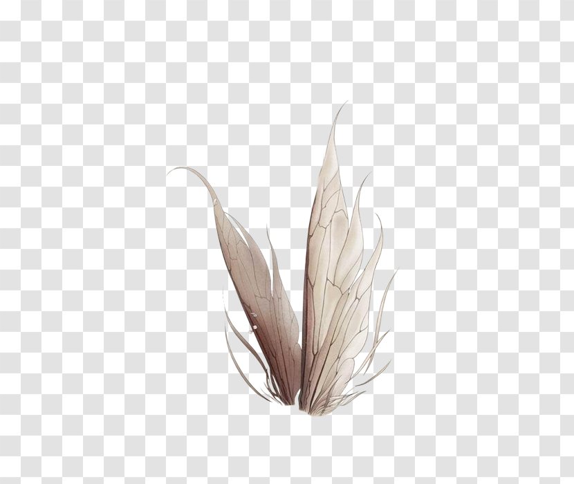 Fairy Idea Illustration - Drawing - Insect Wings Transparent PNG