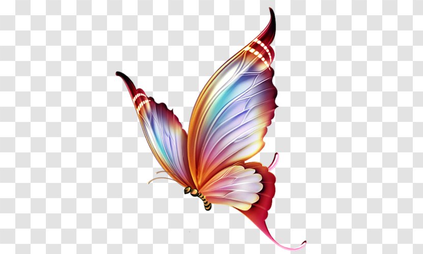 Butterfly Paper Drawing Pencil Transparent PNG