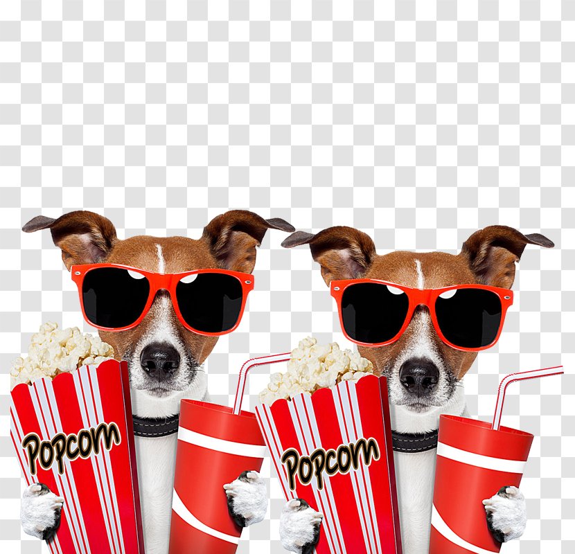 Film Outdoor Cinema Clip Art - Watercolor - Take Two Dog Popcorn Transparent PNG
