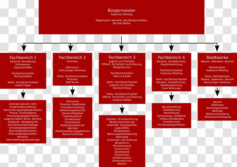 Stadtverwaltung Balve Menden Management Widukindplatz Organizational Chart Transparent PNG