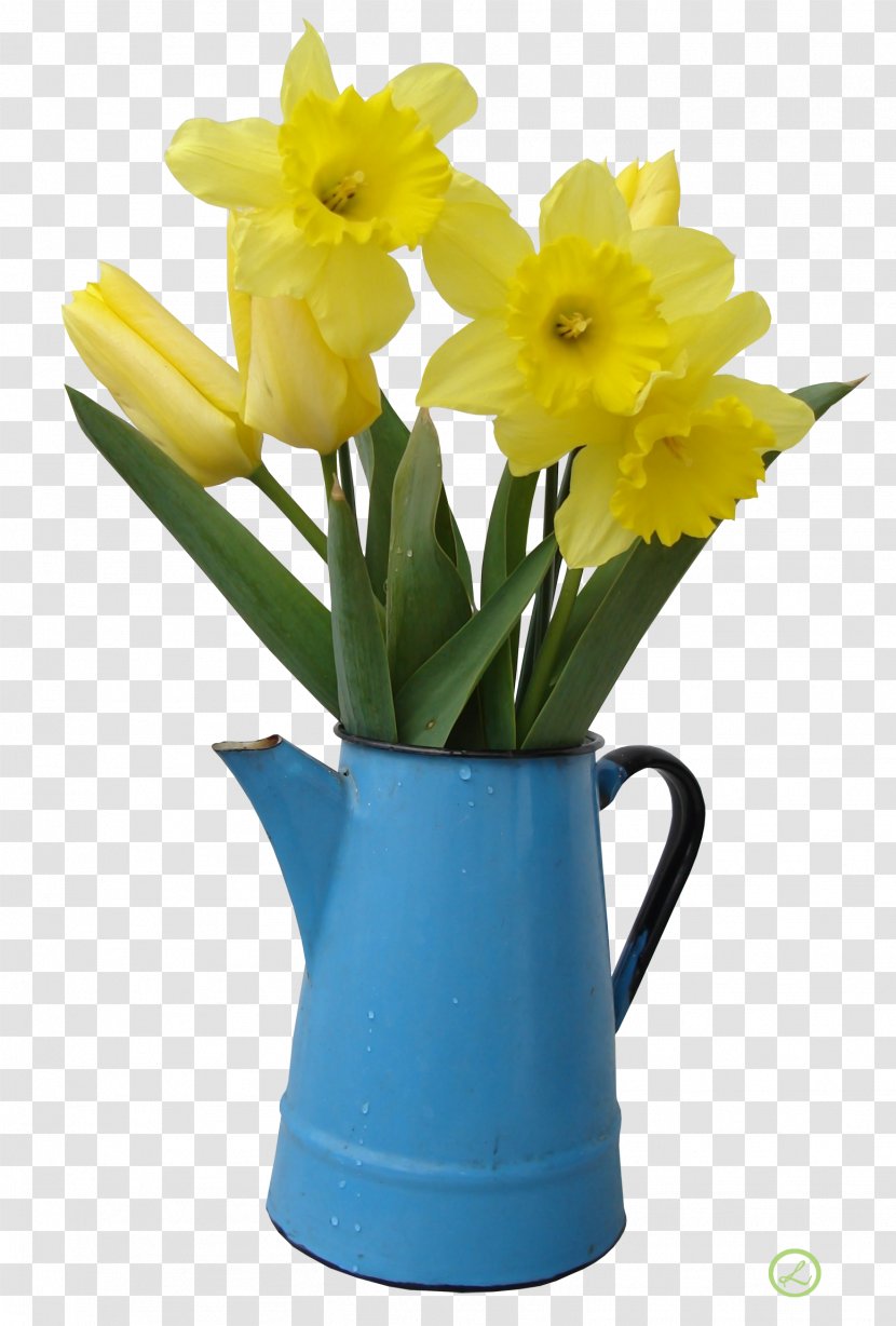 Flower Daffodil Stock Photography Vase - Water Lilies Transparent PNG