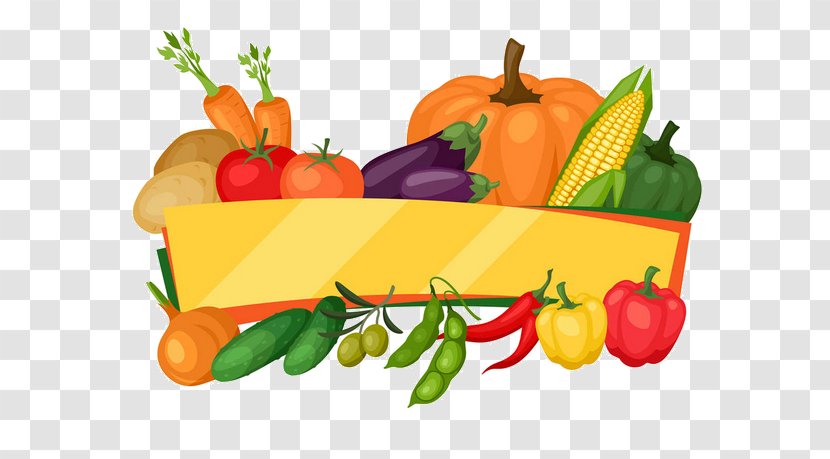 Vegetarian Cuisine Tostada Vegetable Vector Graphics Chili Pepper - Chinese Cabbage Transparent PNG