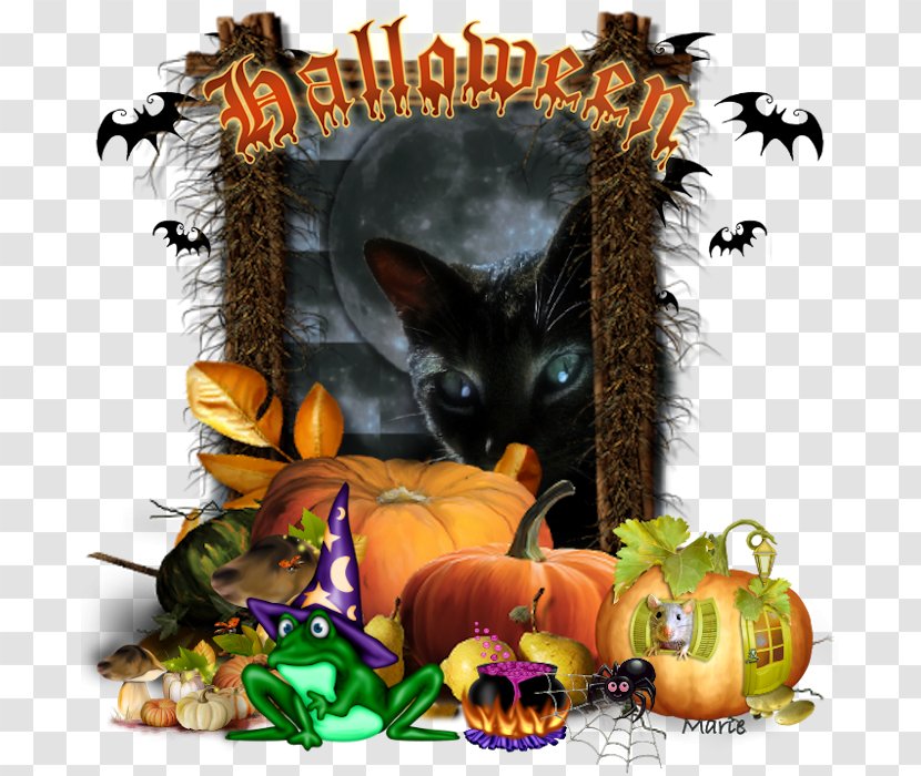 Whiskers Cat Tales Of The Grotesque And Arabesque Halloween Fauna Transparent PNG