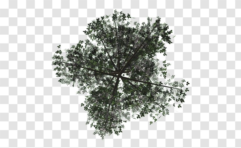 Texture Mapping Tree Rendering Alpha Compositing - Babylonjs Transparent PNG