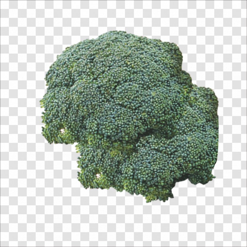 Broccoli Vegetable Food Cauliflower - Cocido Transparent PNG