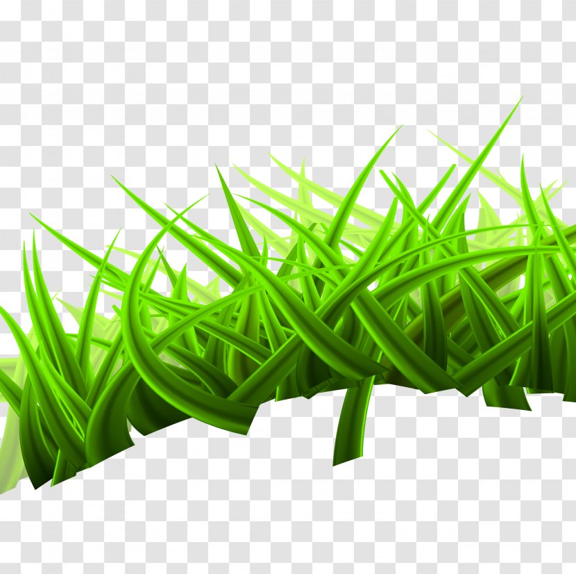 Landscape Euclidean Vector Nature Royalty-free - Plant Stem - Grass Lawn Transparent PNG