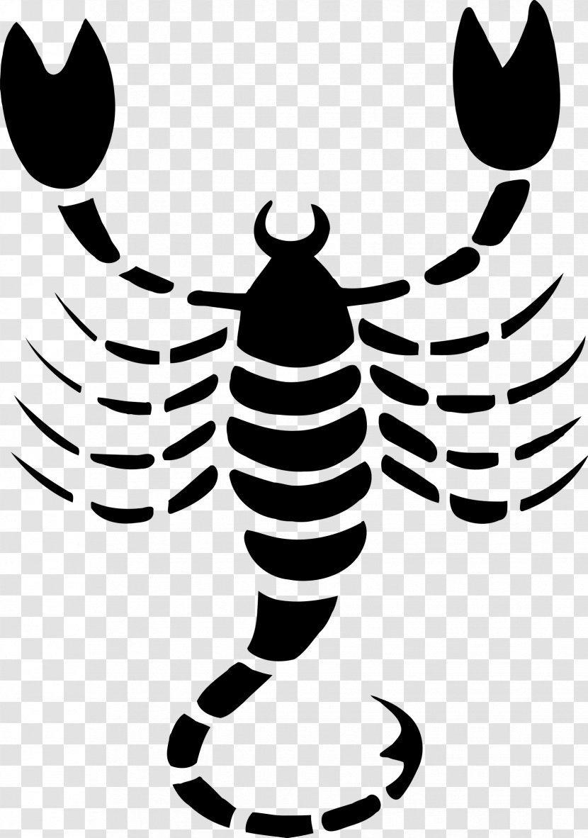 Scorpion Astrological Sign Astrology Zodiac - Blackandwhite Transparent PNG
