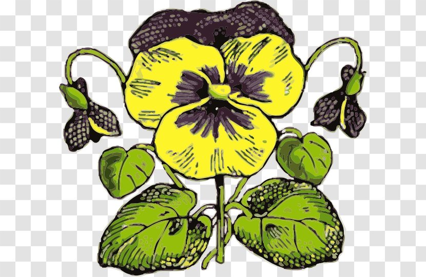 Flower Violet Clip Art - Flowering Plant - Pansy Transparent PNG