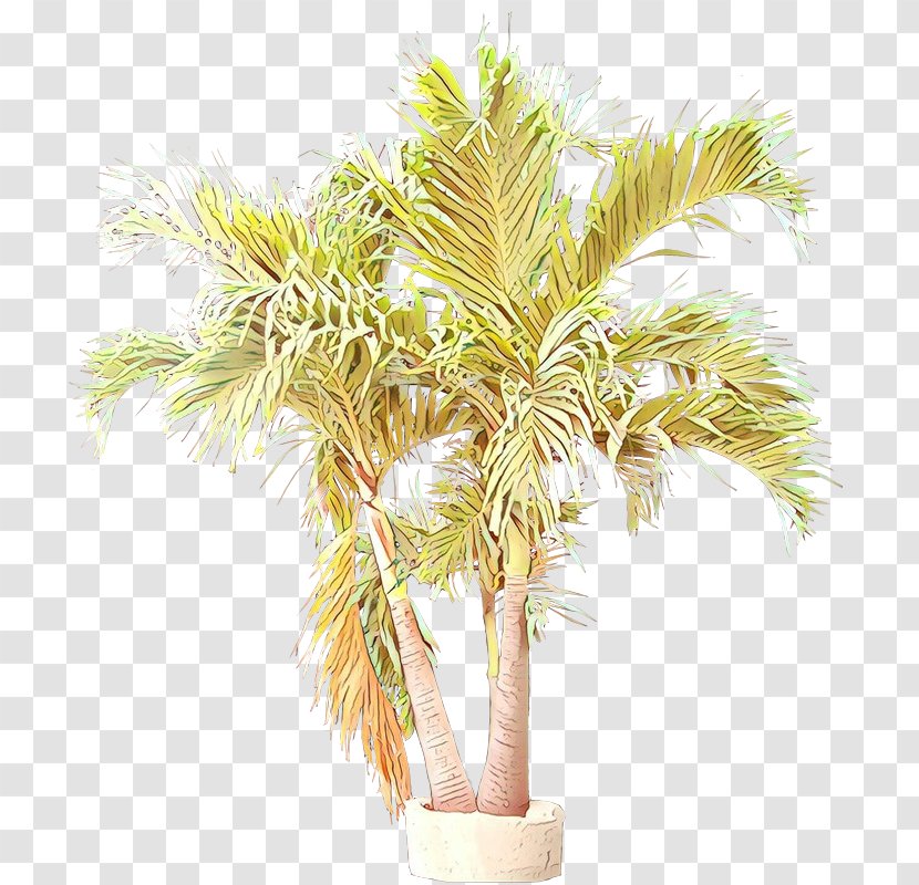 Palm Tree - Flowerpot - Houseplant Transparent PNG