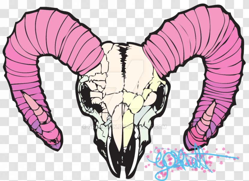 Skull Art Pastel Jaw Pink - Frame Transparent PNG