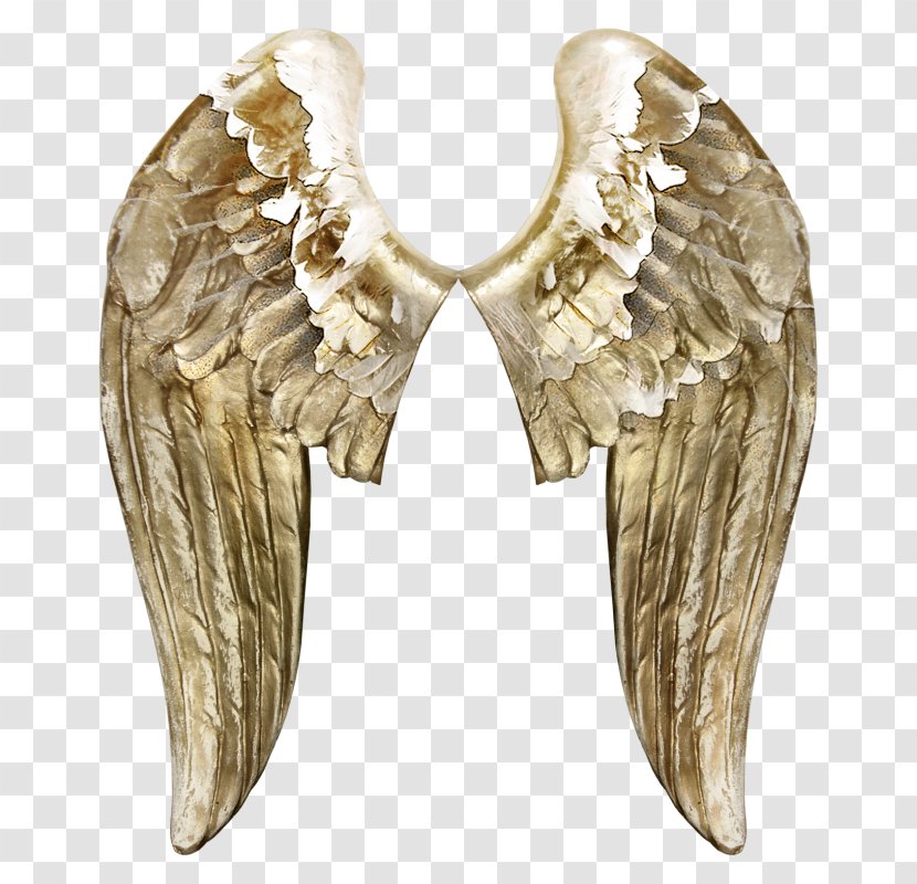 Wing - Joint - Ali Transparent PNG