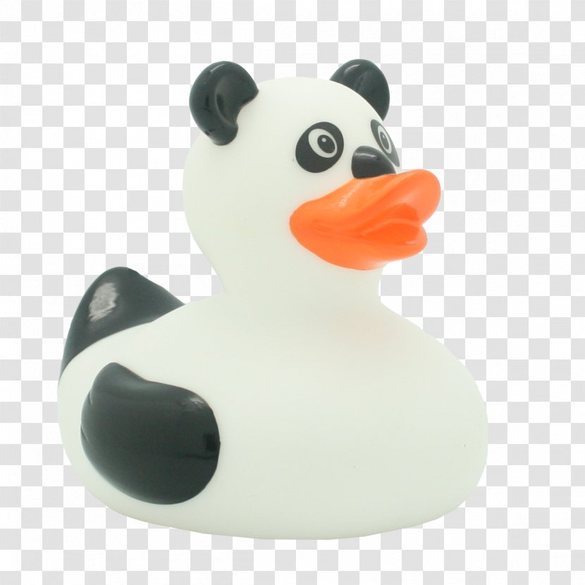 Duck Giant Panda Sindiseca Toys Los Patos, Dominican Republic Child - Ducks Geese And Swans - Rubber Transparent PNG