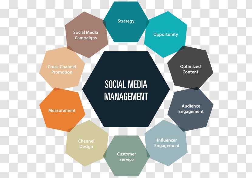 Social Media Organization Management Digital Marketing - Text Transparent PNG