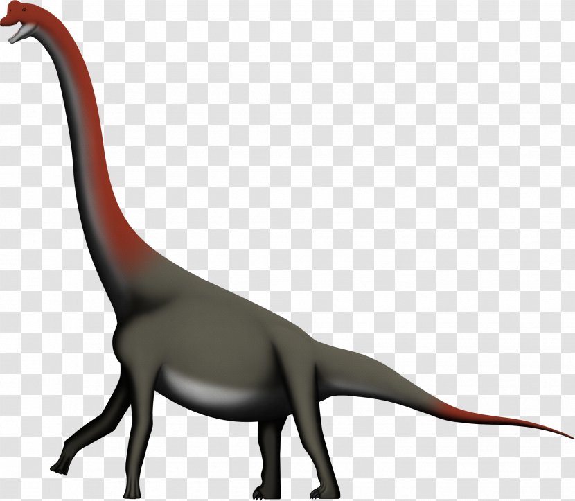 Lapparentosaurus Macronaria Alvarezsaurus Isalo III Formation Majungasaurus - Dinosaurs Transparent PNG