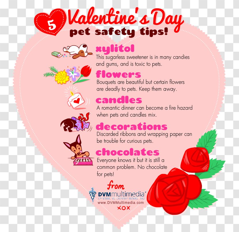 Valentine's Day Pet Dog Love Safety - Flowering Plant - Valentines Transparent PNG