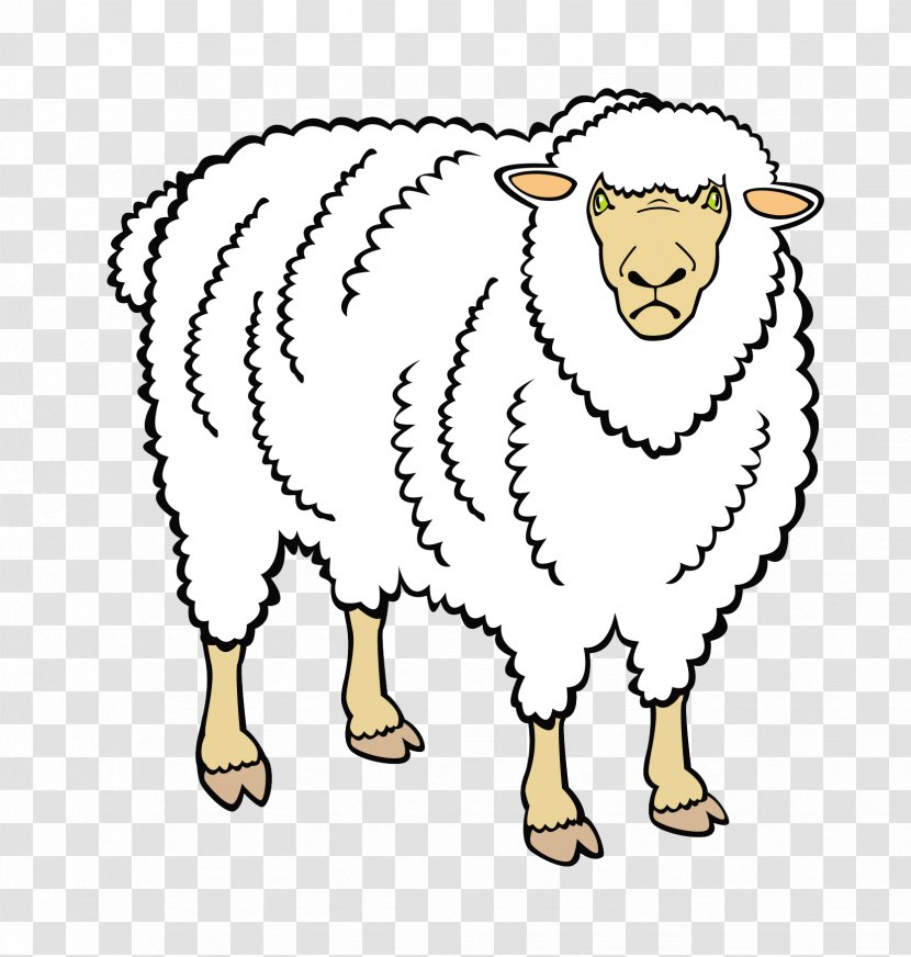 Sheep Goat Cattle Domestic Duck - Mutton Transparent PNG