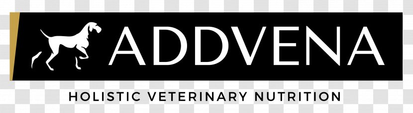 Arb Vidros Footwear Veterinary Clinic Molicki Brand Addvena - Absatz - Springer Spaniel Transparent PNG