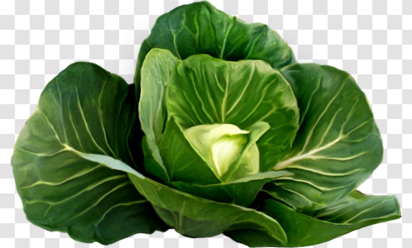 Cauliflower Cruciferous Vegetables Chinese Cabbage Nutrition - Brassica Transparent PNG