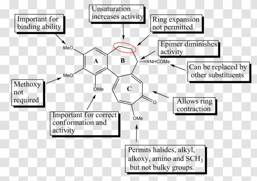 Vinblastine Macrolide Mitotic Inhibitor Discovery And Development Of Tubulin Inhibitors Colchicine - Diagram - Chine Transparent PNG