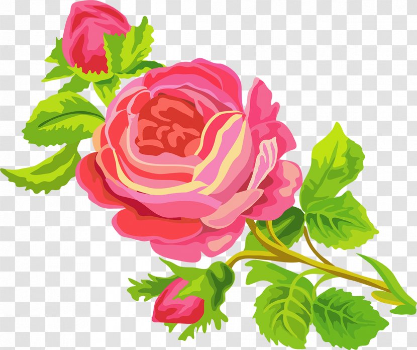 Still Life: Pink Roses Clip Art - Flower - Hand Painted Transparent PNG