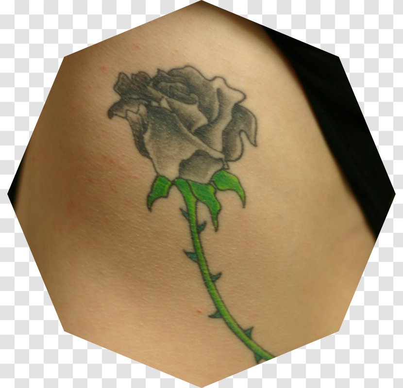 Abziehtattoo Neck Shoulder Internet Forum - Roses Tattoo Transparent PNG