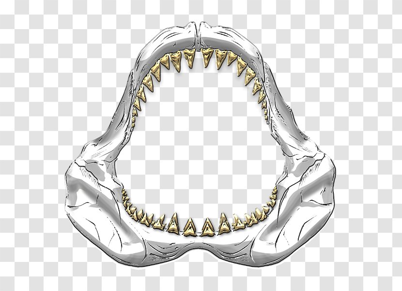 Shark Jaws Great White Hungry Evolution Tooth - Silver Transparent PNG