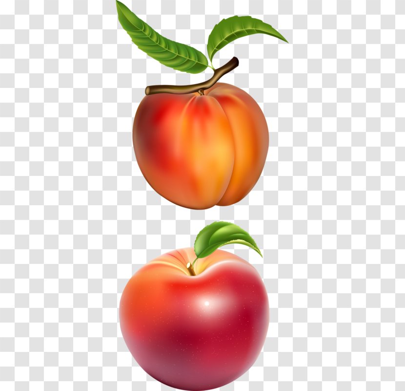 Juice Fruit Royalty-free Illustration - Peach - Delicious Peaches Transparent PNG