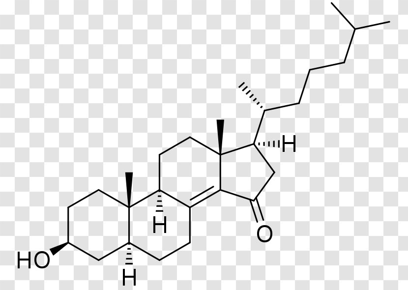 The Silent War Within: Biochemistry & Legal Research On Parasitic Fungi 3β-Hydroxysteroid Dehydrogenase Pregnenolone Chemical Formula Dehydroepiandrosterone - Triangle Transparent PNG