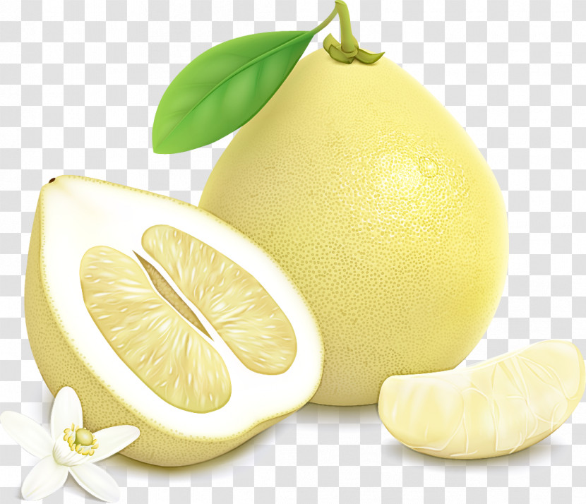 Lemon Persian Lime Lemon Peel Citron Citrus Transparent PNG