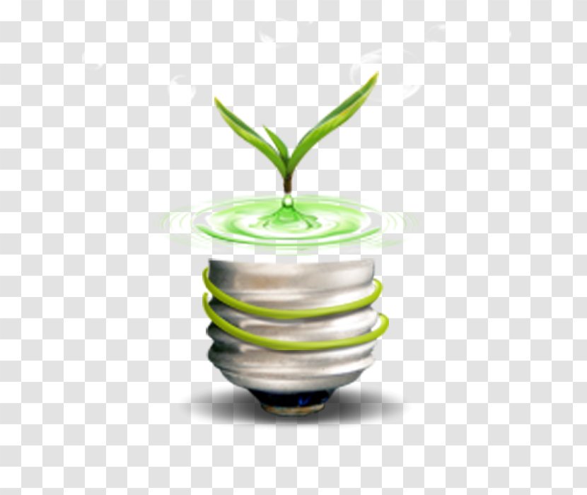 Incandescent Light Bulb Environmental Protection Green - Symbol Transparent PNG
