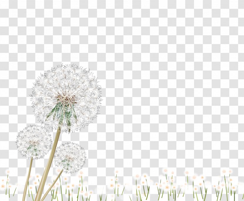 Petal Pattern - Flower - White Dandelion Transparent PNG