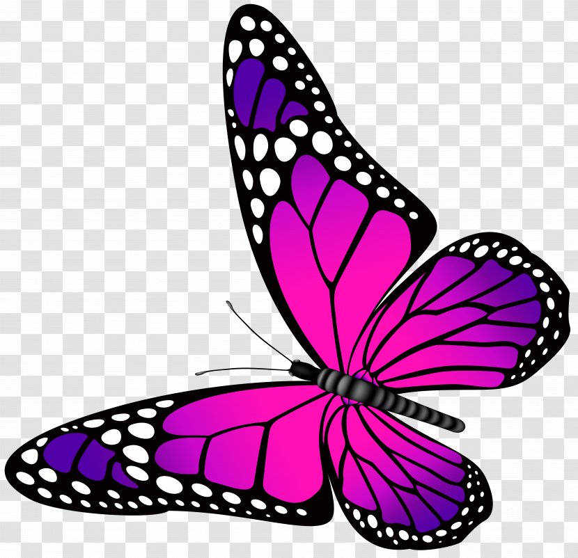 Butterfly Pink Purple Clip Art Transparent PNG