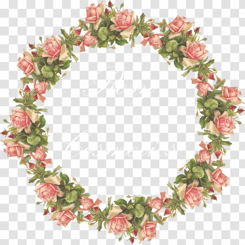 Flower Floral Design Clip Art Image - Rose Transparent PNG