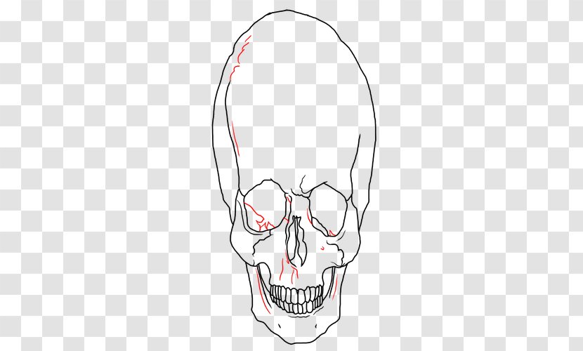 Skull Ear Drawing Jaw Clip Art - Cartoon Transparent PNG