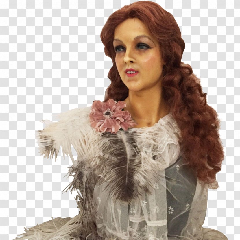 Feather Boa Wig Fur Long Hair - Mannequin Transparent PNG