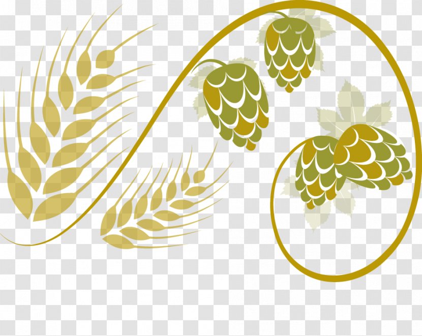 Linden Street Brewery Beer Ale San Francisco - Fruit - Northern America Countries Transparent PNG