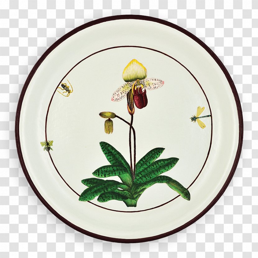 Plate Tray Slipper Orchids Tableware Pillow - Flora - Lady's Transparent PNG