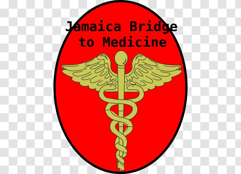 Doctor Symbol - Sign - Crest Transparent PNG